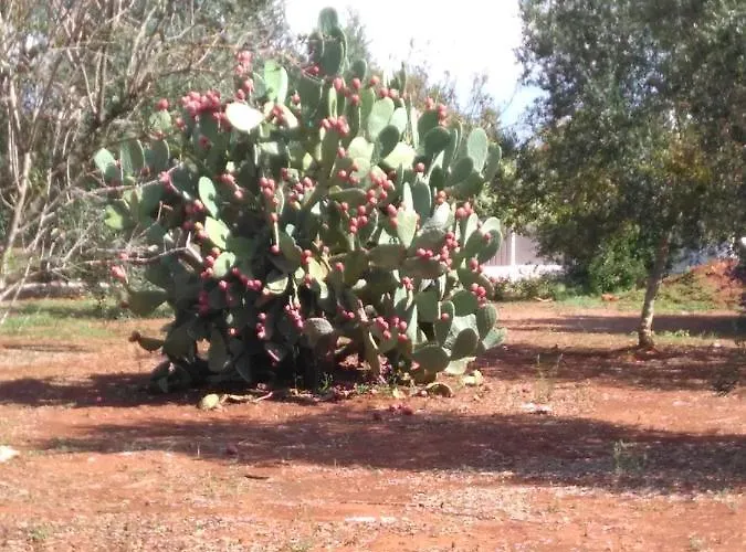 Casa Bianca Alme بيت ضيافة
