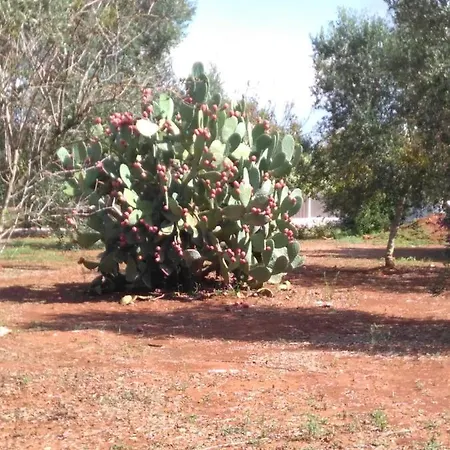 Casa Bianca Alme Maison d'hôtes